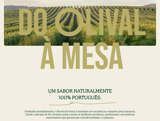 Oliveira da Serra Website