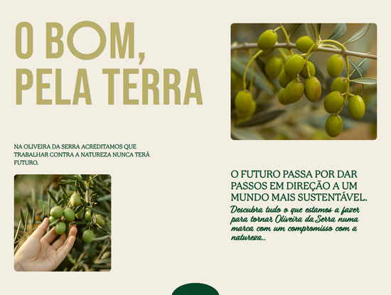 Oliveira da Serra Website